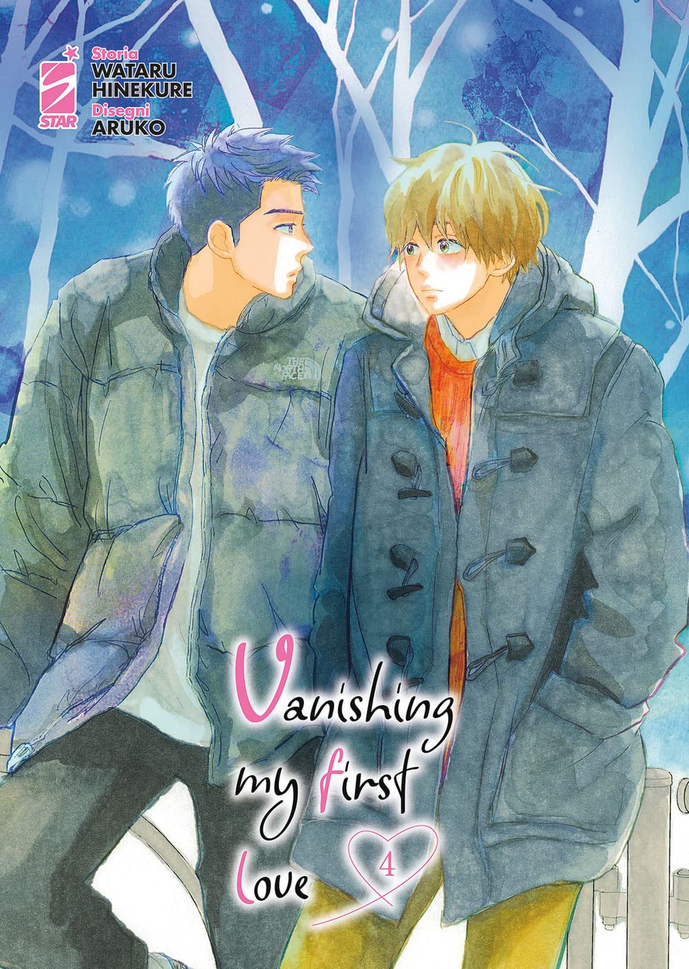 Vanishing My First Love - Volume 4