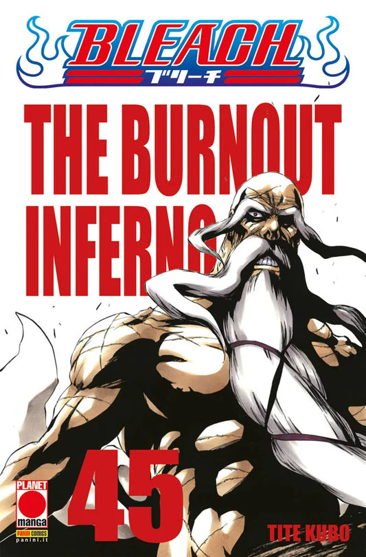 Bleach - Volume 45