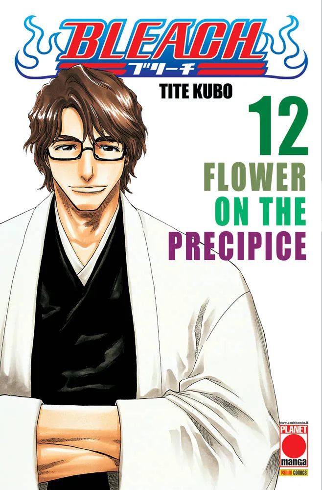 Bleach - Volume 12